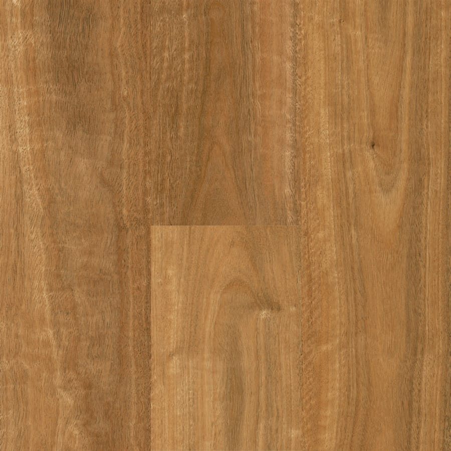 Qlay 5.0 Northern Rivers Spotted Gum