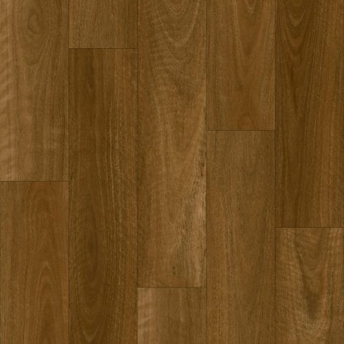 Pacific Spotted Gum