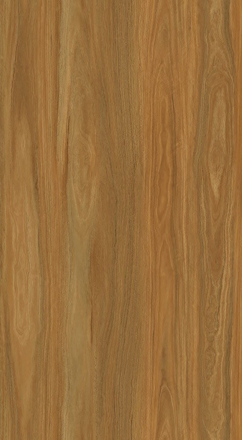 Timberland Spotted Gum